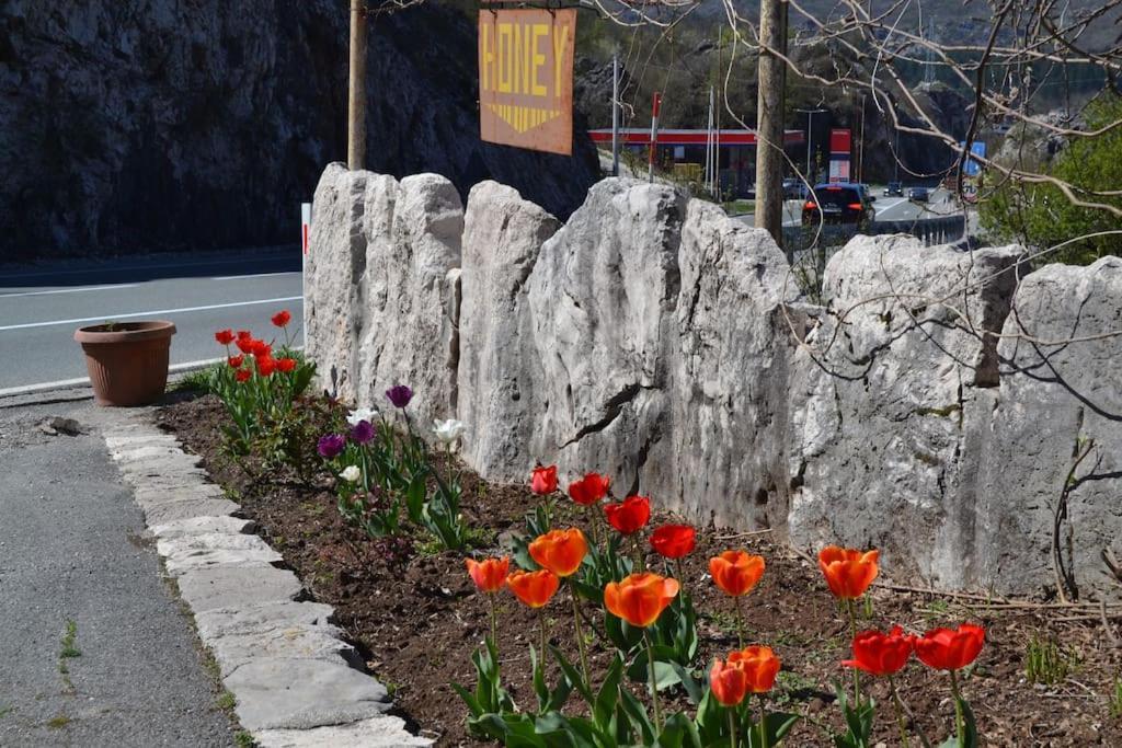 Una Apartment Cetinje Bagian luar foto